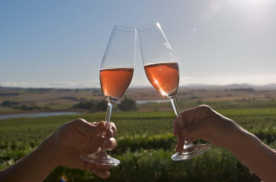 Cape Town: Full-Day Winelands Tour with Wine Tastings & Food - Paarl and the first food pairing