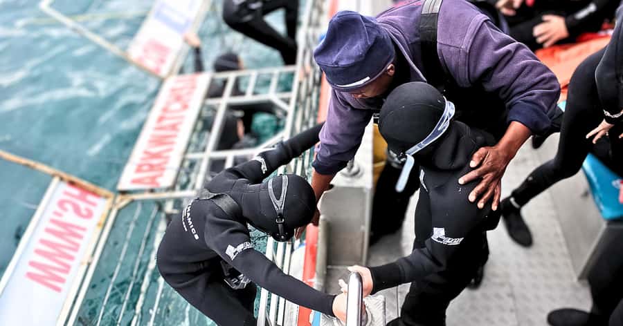 Cape Town: Gansbaai Eco-Friendly Shark Cage Diving Cruise - The early road to Gansbaai