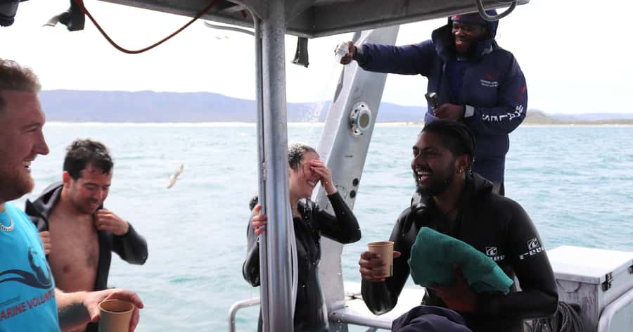 Cape Town: Gansbaai Eco-Friendly Shark Cage Diving Cruise - Shark Alley and the wider marine setting