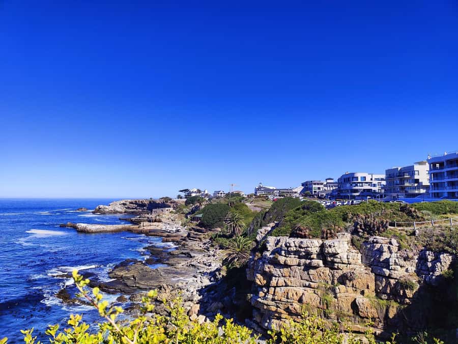 Cape Town: Garden Route and Addo Elephant Park 6-Day Safari - Day five: Addo Elephant National Park