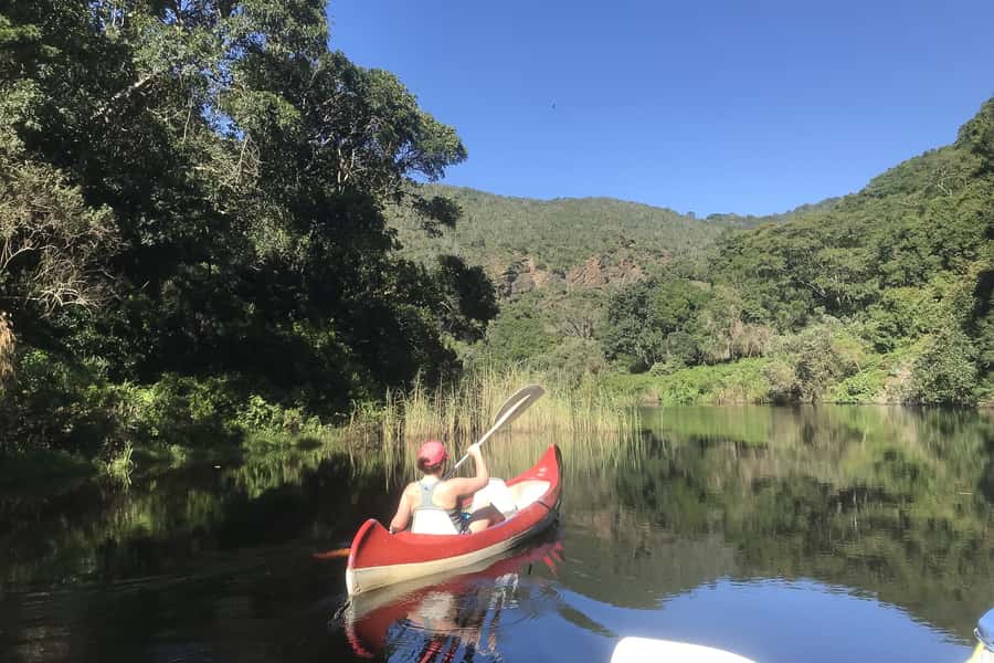 Cape Town: Garden Route and Addo Elephant Park 6-Day Safari - Day one: Hermanus, penguins, and Cape Agulhas