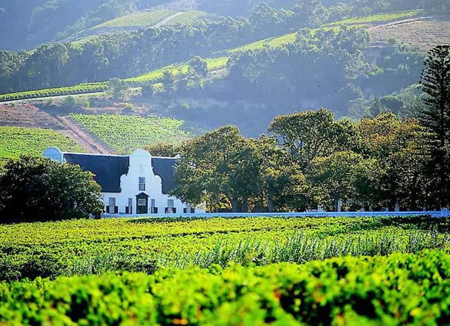 Cape Town: Giraffe House, Cheetah Encounter and Wine Tasting - Why this Cape Town day works