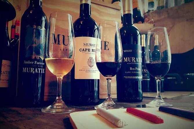 Cape Town Giraffe House, Cheetah Encounter and Wine Tasting Tour - The guide and private service