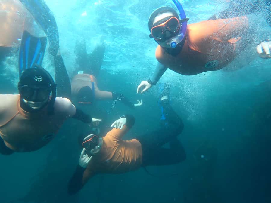 Cape Town: Great African Sea Forest Guided Snorkel - Meeting the team at False Bay