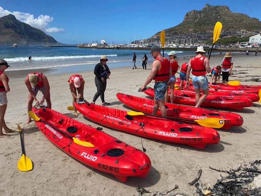 Cape Town: Guided Kayak Tour - Why kayak Hout Bay from the beach