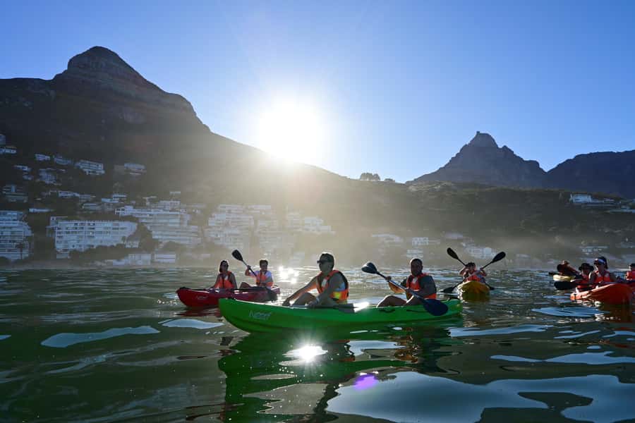 Cape Town: Guided Kayak Tour of Clifton Beaches & The Coast - Six things to know before you paddle out