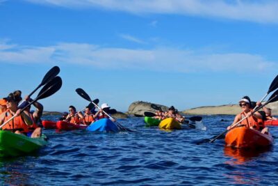 Guided Kayak Tour of Clifton Beaches & The Coast