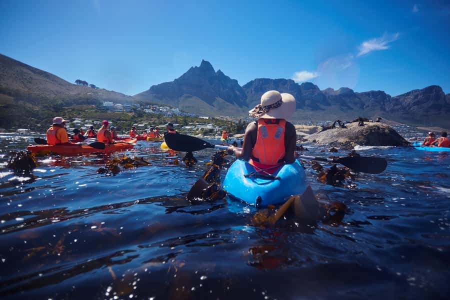 Cape Town: Guided Kayak Tour of Clifton Beaches & The Coast - Returning to Clifton 4th Beach
