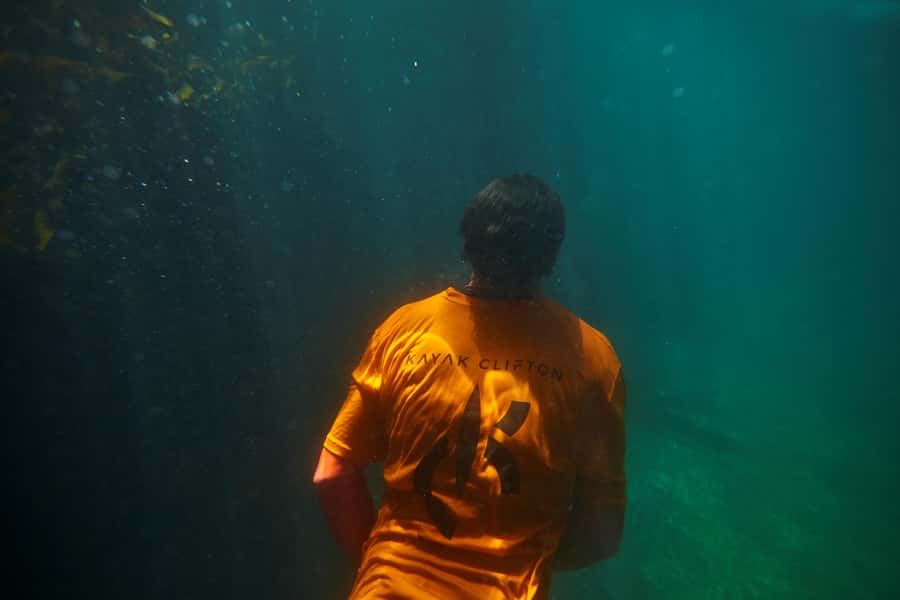 Cape Town: Guided Kayak Tour of Clifton Beaches & The Coast - What the $49 price really includes
