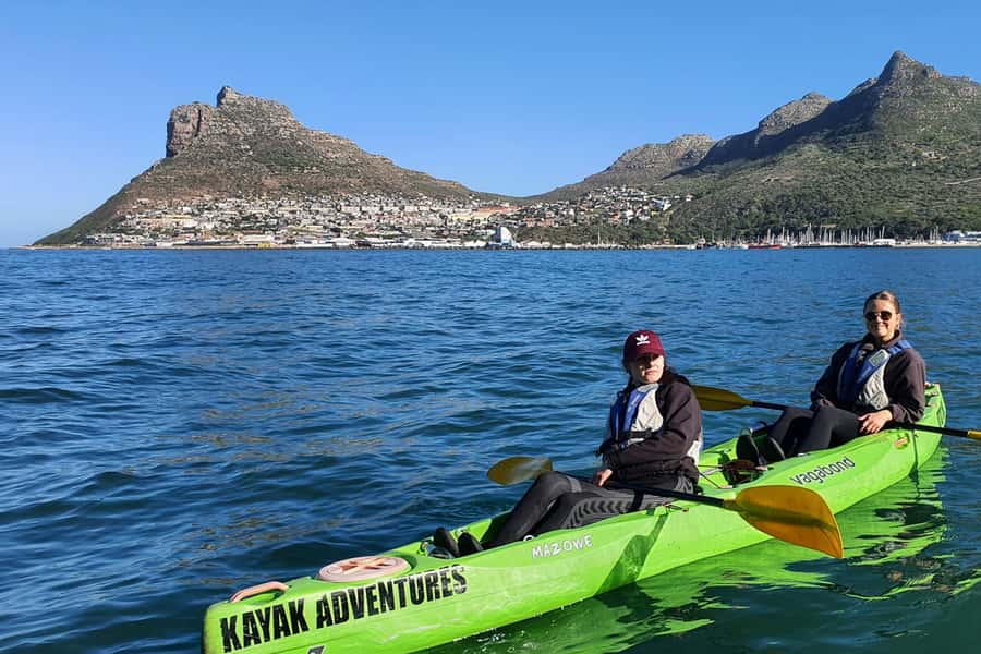 Cape Town: Guided Kayaking in Hout Bay - Dolphins, penguins, and the luck factor