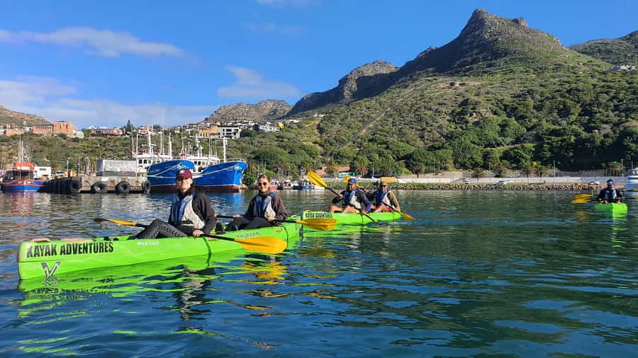 Cape Town: Guided Kayaking in Hout Bay - Wind, waves, and the real physical effort