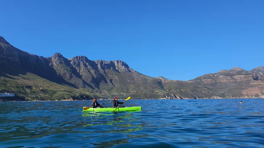 Cape Town: Guided Kayaking in Hout Bay - Is $37 good value for two hours?