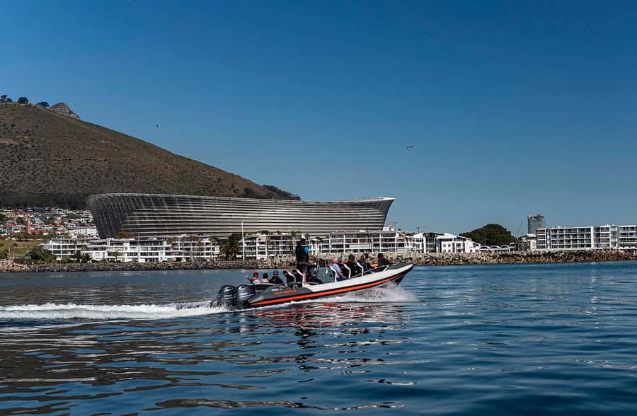 Cape Town: Guided Marine Wildlife Cruise and Cape Point Tour - Table Bay cruise: wildlife with Table Mountain behind you