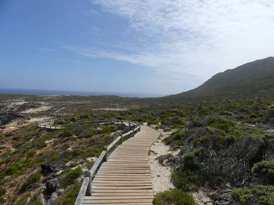 Cape Town: Guided Marine Wildlife Cruise and Cape Point Tour - The waterfront food stop and lunch costs