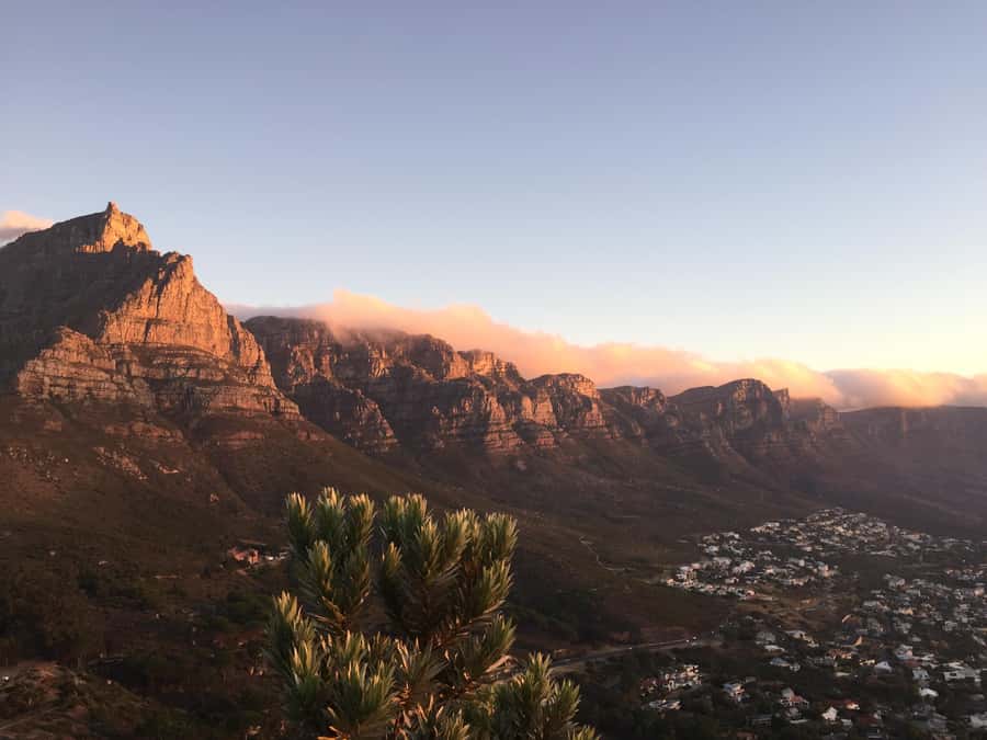Cape Town: Guided Marine Wildlife Cruise and Cape Point Tour - Clifton and the Twelve Apostles