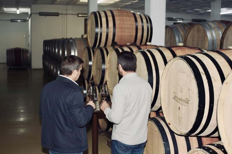 Cape Town: Guided Winelands Tour & Tasting in Stellenbosch - Stellenbosch town: a quick look at the region