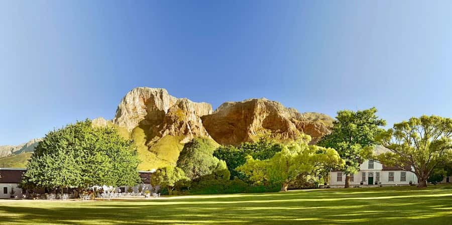 Cape Town: Guided Winelands Tour & Tasting in Stellenbosch - What the guide adds