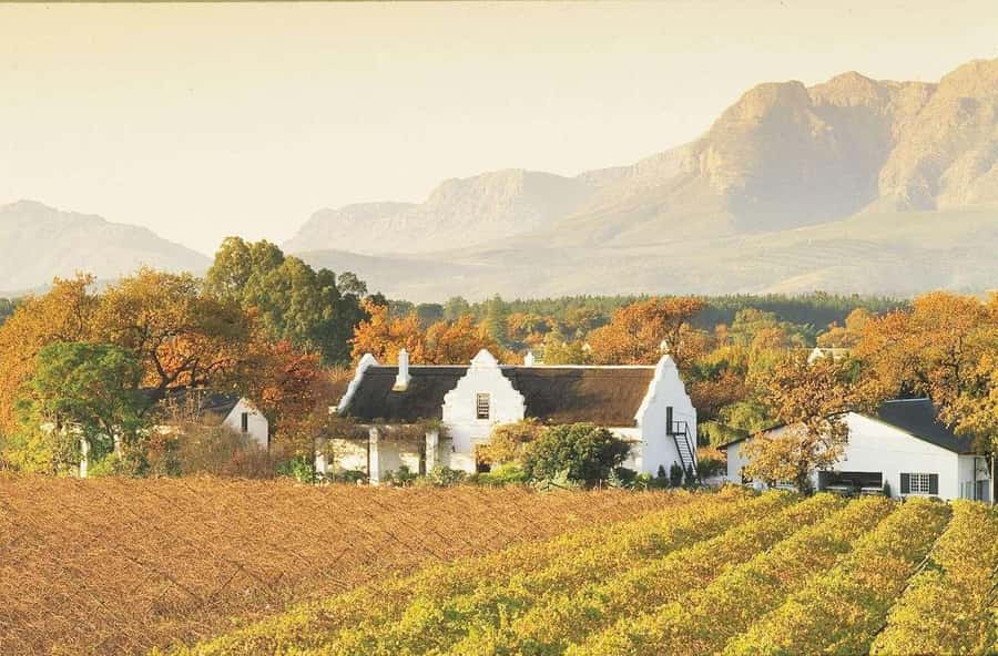 Cape Town: Guided Winelands Tour & Tasting in Stellenbosch - Who should choose this tour?
