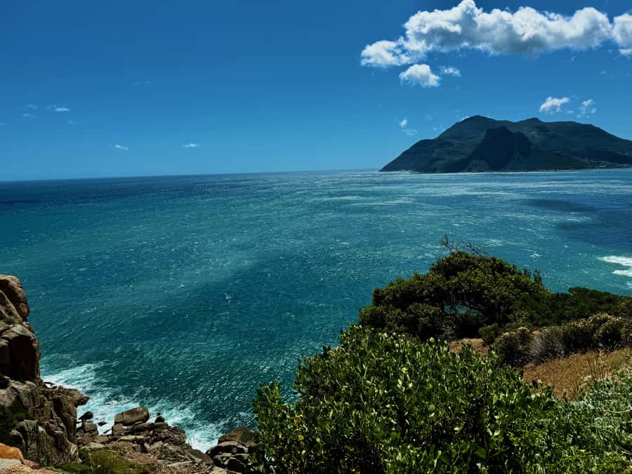 Cape Town: Half Day Cycle Tour 60km - What the guide adds to the ride