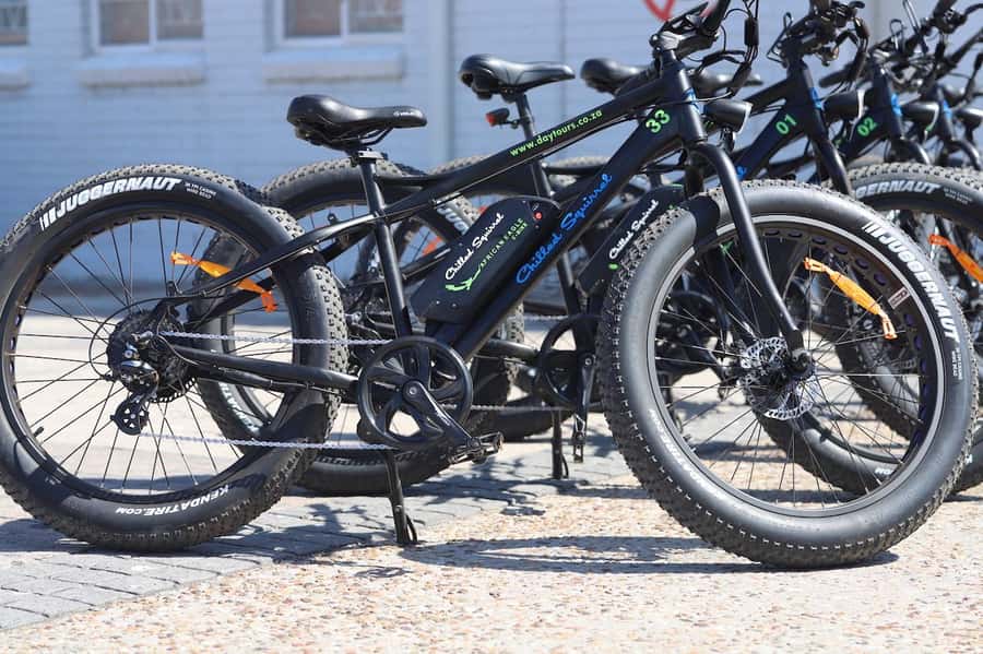Cape Town: Half-Day e-Bike City Tour - Iziko South African Museum and the city center