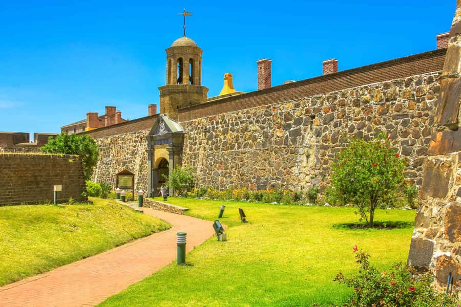 Cape Town: Half-Day Guided City Sightseeing Tour by Bus - The Iziko South African Museum and Company’s Gardens
