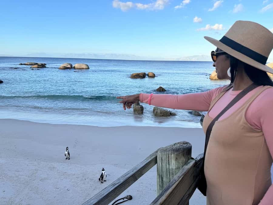 Cape Town: Half-Day Table Mountain and Penguin Group Tour - Riding the Table Mountain cable car