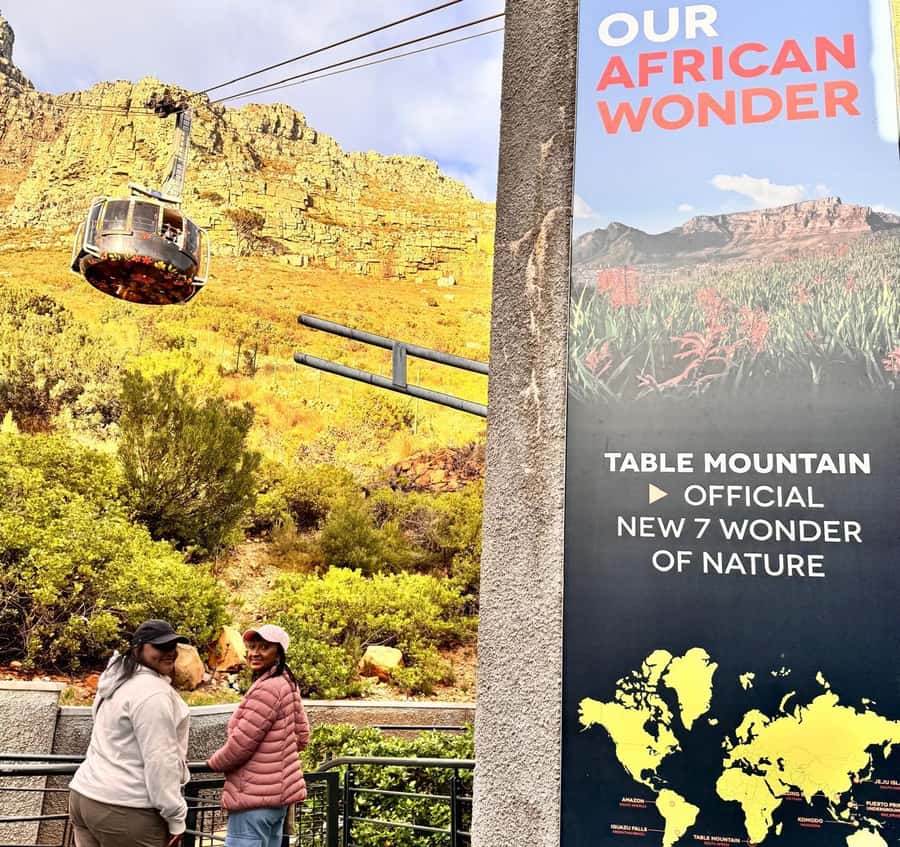 Cape Town: Half-Day Table Mountain and Penguin Group Tour - The road and viewpoint at Chapman’s Peak