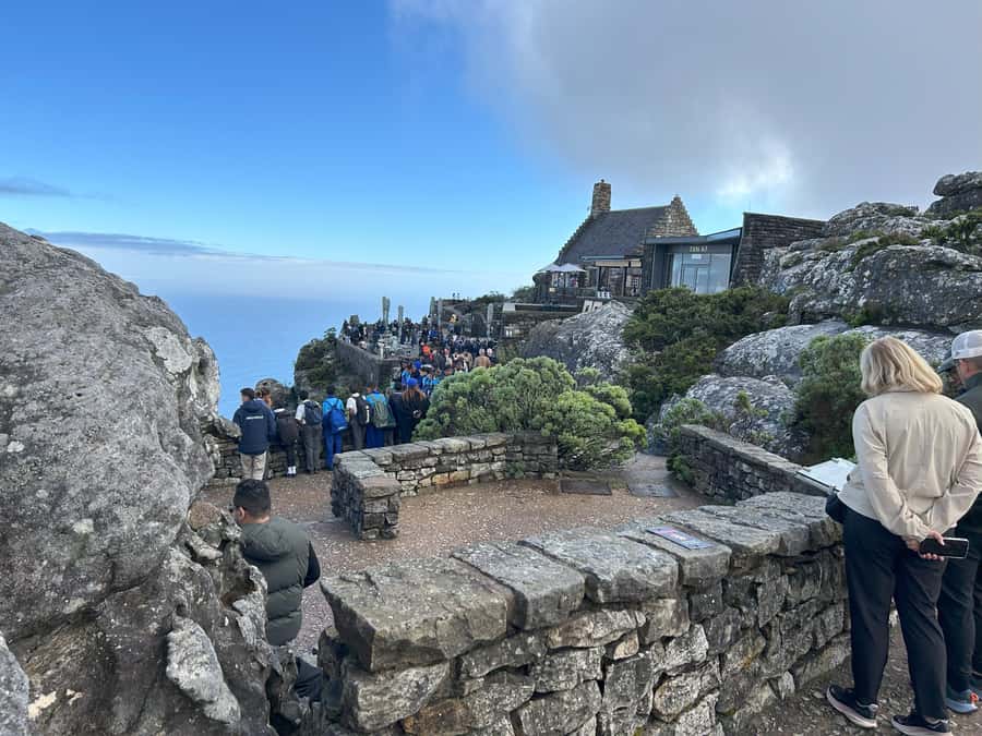 Cape Town: Half Day Table Mountain & Kirstenbosch Gardens - Why this half-day pairing works