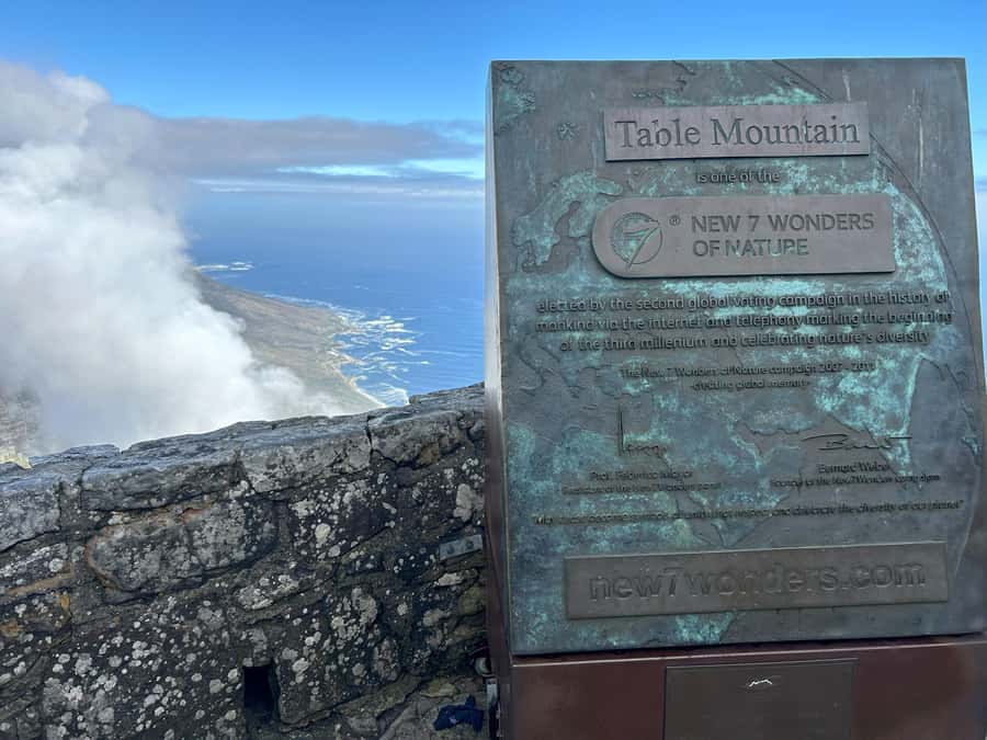 Cape Town: Half Day Table Mountain & Kirstenbosch Gardens - Reaching the top of Table Mountain