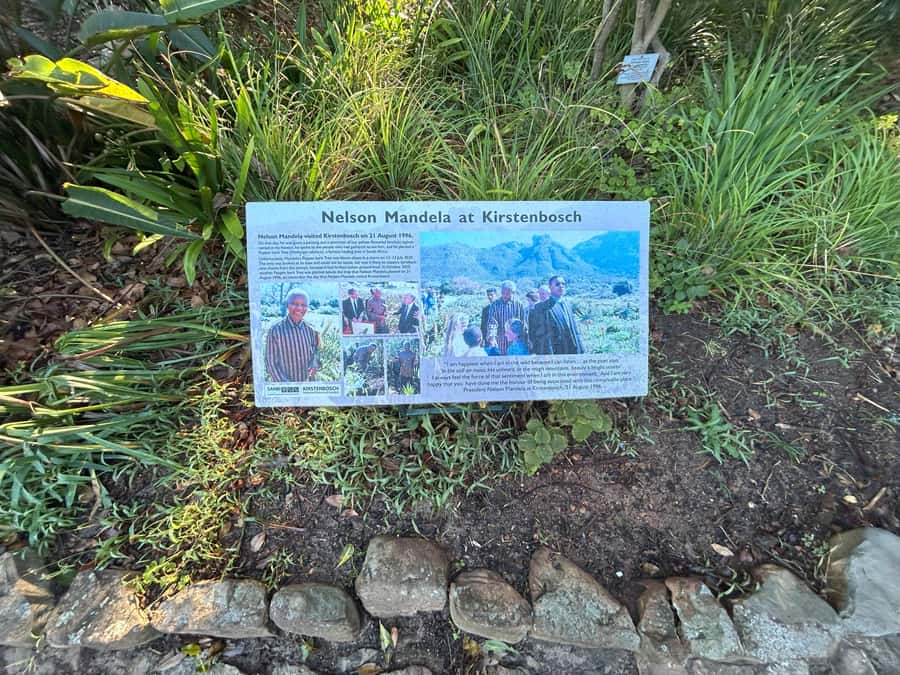 Cape Town: Half Day Table Mountain & Kirstenbosch Gardens - Kirstenbosch and the Cape Flora collection