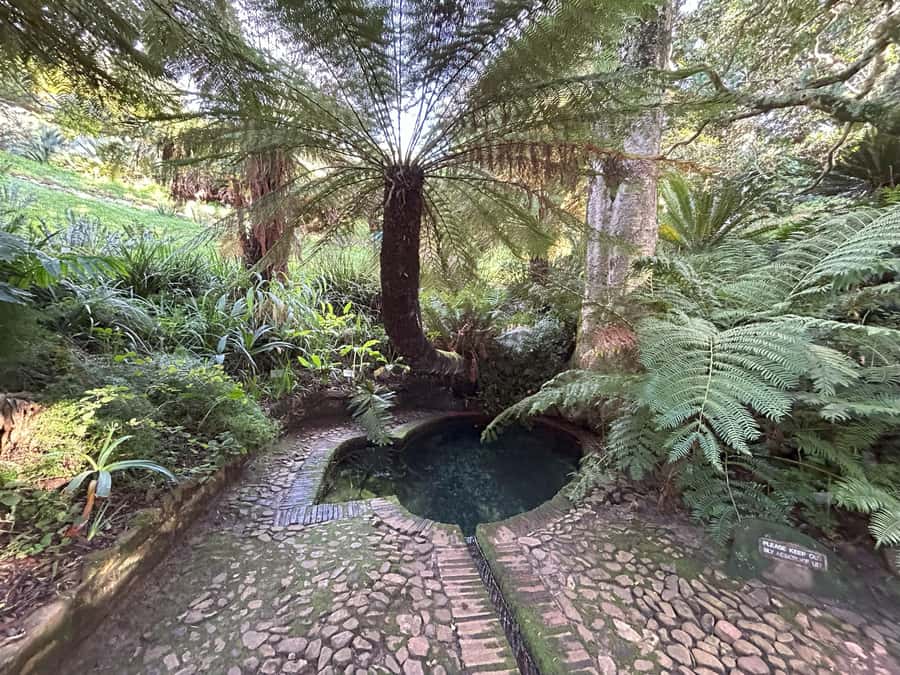 Cape Town: Half Day Table Mountain & Kirstenbosch Gardens - The guide can make or break the morning