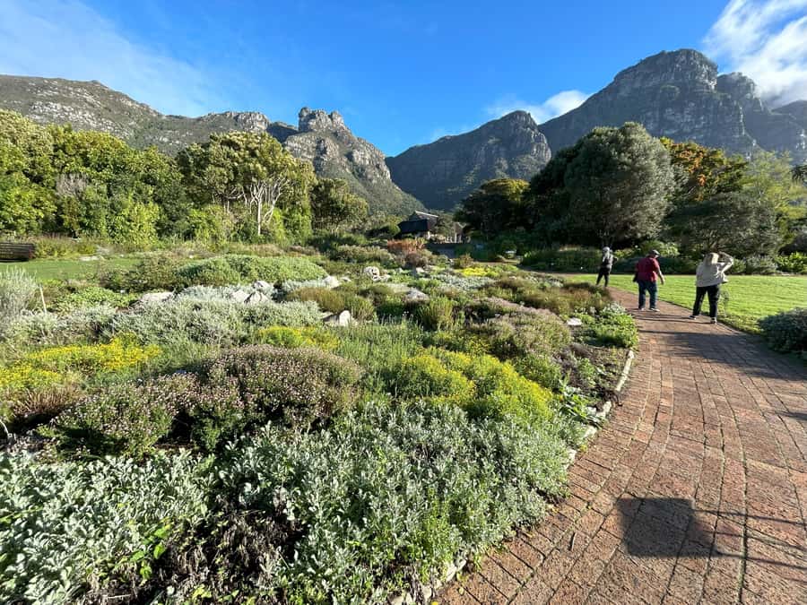 Cape Town: Half Day Table Mountain & Kirstenbosch Gardens - Who should choose this tour?