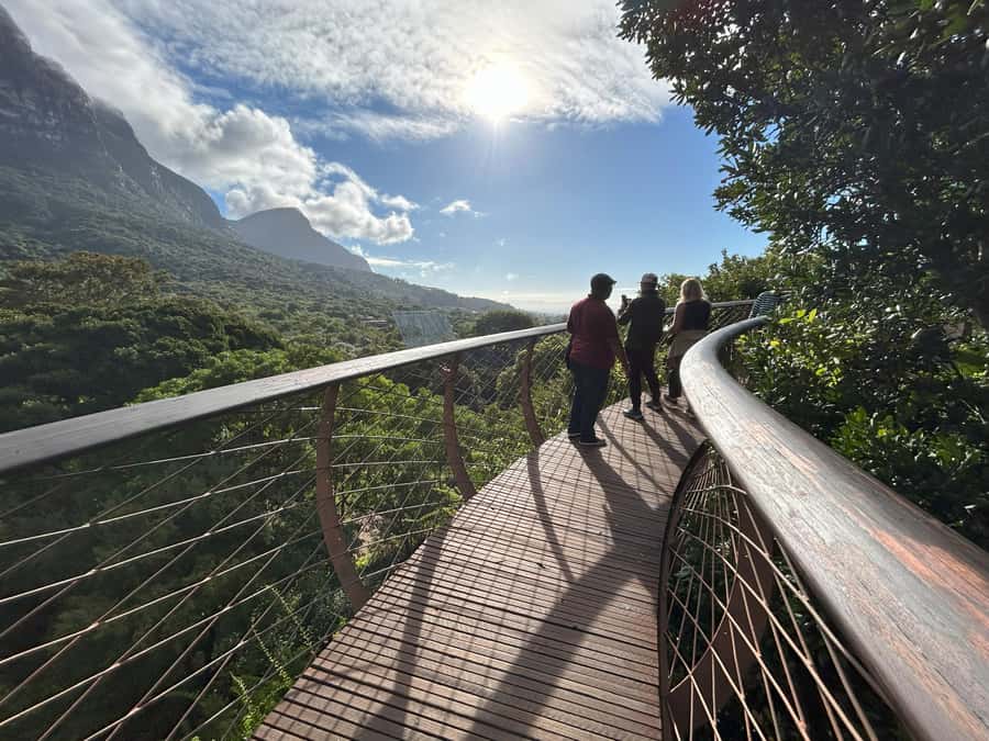 Cape Town: Half Day Table Mountain & Kirstenbosch Gardens - Should you book it?