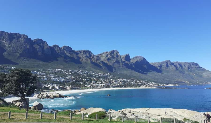 Cape Town: Halfday African Penguin tour - Why this route works well in five hours