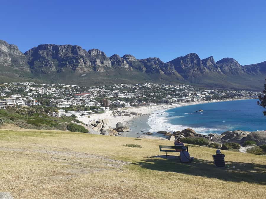 Cape Town: Halfday African Penguin tour - Hout Bay and the road toward Chapman’s Peak