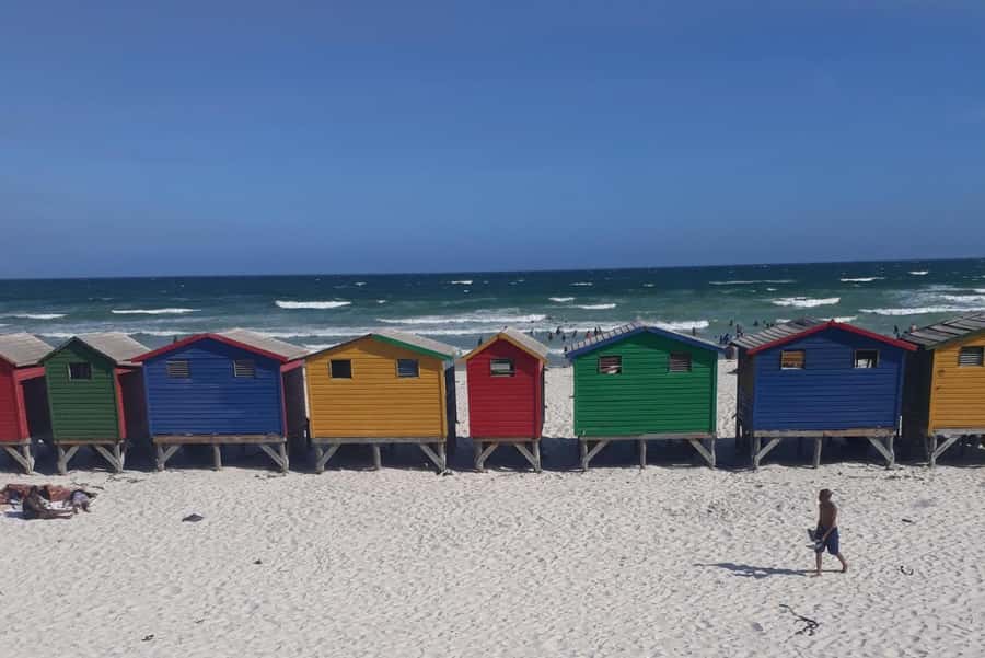 Cape Town: Halfday African Penguin tour - Guides add much of the personality