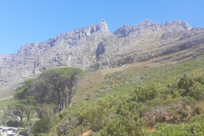 Cape Town Halfday City and Table Mountain Tour - Camps Bay and Maidens’ Cove show the Atlantic side