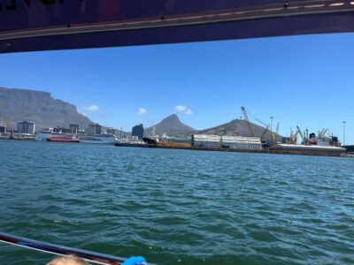Harbor Cruise