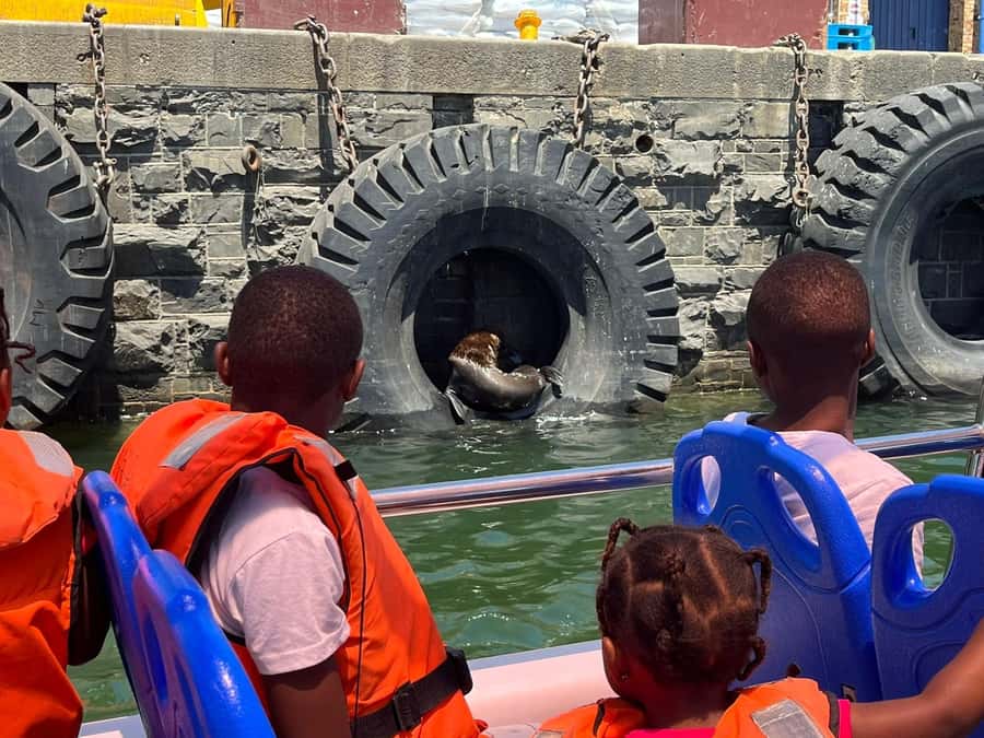 Cape Town: Harbor Cruise - Optional breakfast at Quay 4