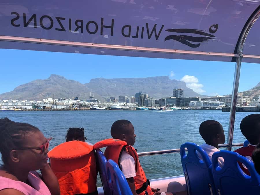 Cape Town: Harbor Cruise - Timing, comfort, and what to bring