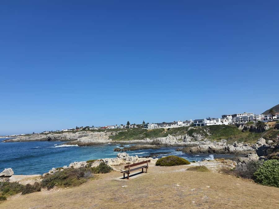 Cape Town: Hermanus Whale Watching Shared Boat & Penguins - New Harbour and the Hermanus whale cruise