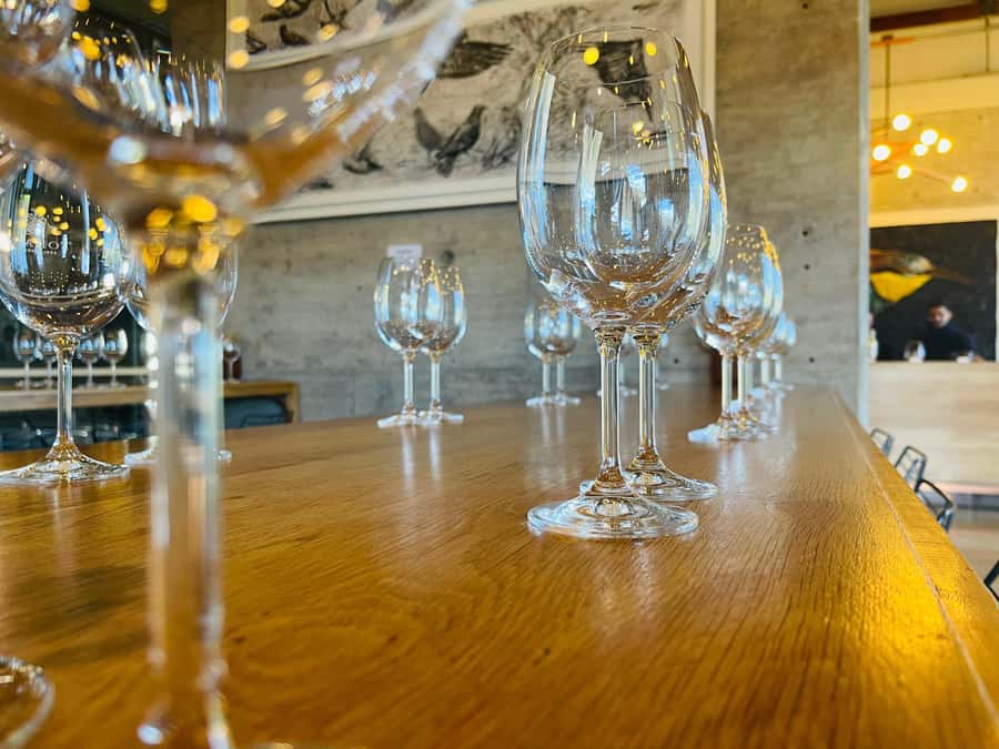 Cape Town: Hermanus Whale Watching Tour - Benguela Cove and the wine tasting