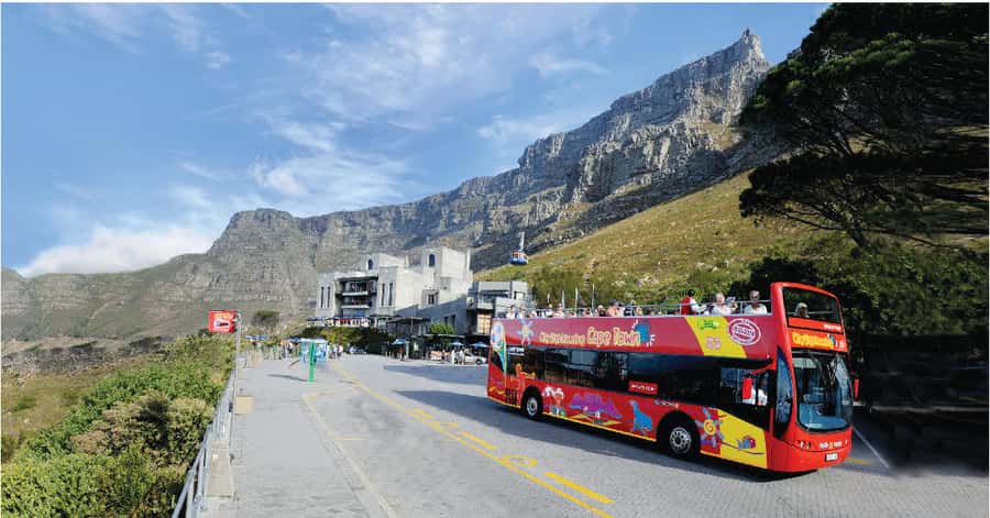 Cape Town: Hop-On Hop-Off Bus Tour with Optional Cruise - Why this bus works so well in Cape Town