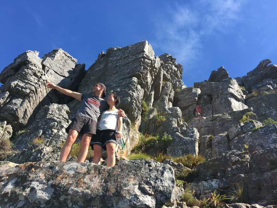Cape Town: India Venster Half-Day Hike on Table Mountain - Who should book this hike?