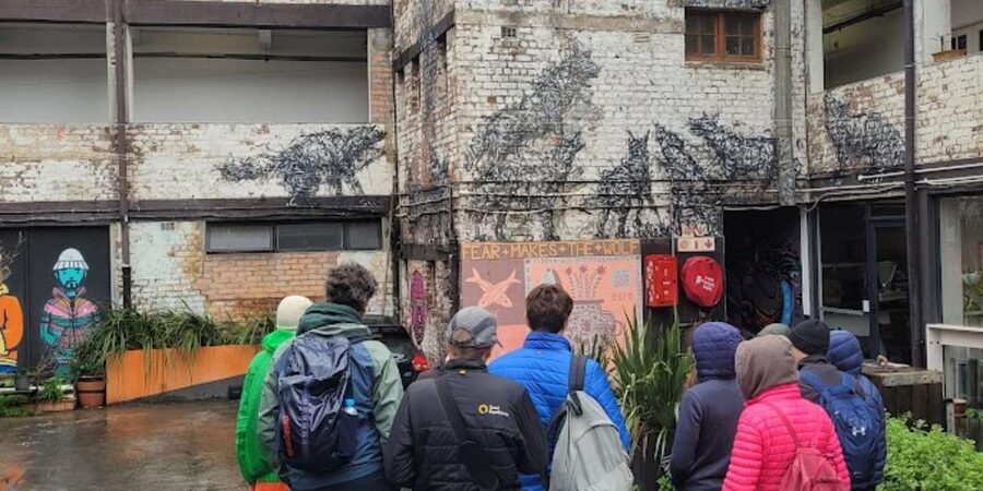Cape Town: Inspiring sustainable change through Street Art - The tour’s strongest point: a caring guide with local insight
