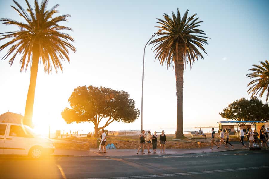 Cape Town: Introductory City Tour by Foot and Minibus - Four hours to get your Cape Town bearings