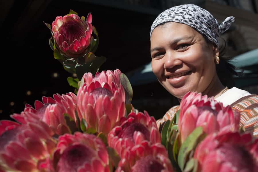 Cape Town: Introductory City Tour by Foot and Minibus - The Atlantic seaboard: Clifton and Camps Bay