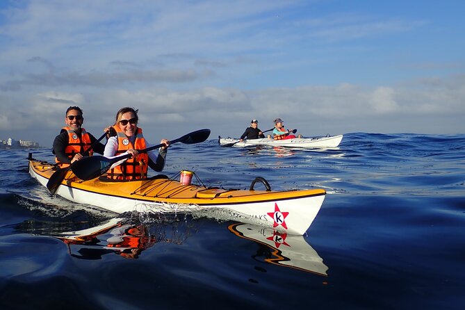 Cape Town Kayak Adventure in Table Mountain Marine Reserve - Why kayaking gives you a better view of Cape Town