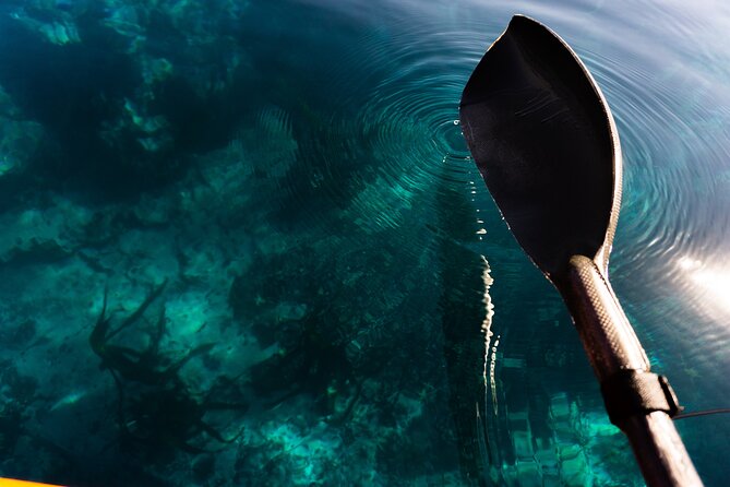 Cape Town Kayak Adventure in Table Mountain Marine Reserve - Starting at Three Anchor Bay Slipway