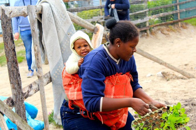 Cape Town Khayelitsha Township Tour - What the strong rating tells you